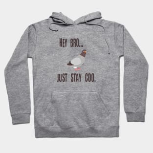 Pigeon Says Hey Bro, Just Stay Coo. Calm Cool Chill Out Bird Hoodie